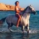 Египет. Арабская лошадь и Красное море.
