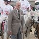 Принц Филипп на конном шоу в Виндзоре в 2017 году