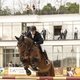 Предпоследний день международных соревнований по конкуру CSI4*/CSIYH1* «Виват, Россия!»