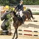 Международные соревнования по конкуру CSI4*/CSIYH1* «Виват, Россия!»