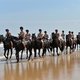 Лошади английской Дворцовой кавалерии на каникулах