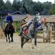 Элементы вольтижировки на выставке-показе племенных лошадей в парке "Киевская Русь"