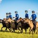 Всадники начали путь в 1000 км по Монголии