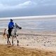 Журналистки добились ужесточения наказания для шейха, принимавшего участие в соревнованиях по дистанционным конным пробегам