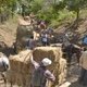 Английские благотворительные организации помогают голодающим лошадям Никарагуа
