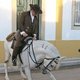 Кадр с Национальной конной выставки, посвященной лошадям лузитано, в португальском городе Голеге.