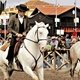 Кадр с Национальной конной выставки, посвященной лошадям лузитано, в португальском городе Голеге.