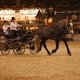 Знаменитая конная выставка Salon du Cheval стартует в Париже