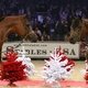 Знаменитая конная выставка Salon du Cheval стартует в Париже