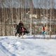 Скиджоринг в КСК "Дивный