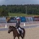 Кубок «Ква-Ква парка» по выездке завершился в Maxima Stables