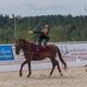 Кубок «Ква-Ква парка» по выездке завершился в Maxima Stables