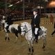  Детско-юношеские соревнования по конному спорту на призы художника Алексея Глухарева