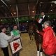  Детско-юношеские соревнования по конному спорту на призы художника Алексея Глухарева