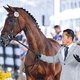Киичи ХАРАДА и ЭГИСТАР проходят ветеринарную выводку на Всемирных конных играх 2018 года в Трионе / Фотограф: ERIK S. LESSER / EPA/TASS