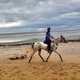Соревновния по дистанционным конным пробегам, Всемирные конные игры 2014