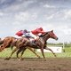 Буденновские лошади учавствуют в скачках на Ростовском ипподроме