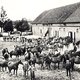 Племенные кобылы во дворе завода «Тракенен». Открытка, 1920 г.