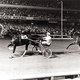 Идеал дю Газо, победа в чемпионате мира на ипподроме «Рузвельт» в Нью-Йорке в 1983 году