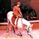 Лошади Больших конюшен Шантийи часто принимают участие в шоу