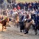 Одна из старейших конных игр Узбекистана – козлодрание