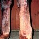 Ультразвуковое изображение сухожилий у лошади с тендинитом поверхностного сгибателя после прижигания термокаутером.