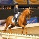 Международное конное шоу в Таллине Tallinn International Horse Show