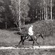 Лев Толстой на жеребце Демире. Ясная Поляна, 1908 год