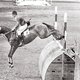 Олимпиада 1956 года в Стокгольме. Обладатель золотой медали в конкуре, ученик Густава Рау – Ханс Гюнтер ВИНКЛЕР на ХАЛЛЕ / Фотограф: FEI