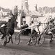 Слева направо: ГЕЙ-НУН, Гибрид и Франсез Бульварк в историческом финише 1954 года. Ипподром Сольвалла, Швеция