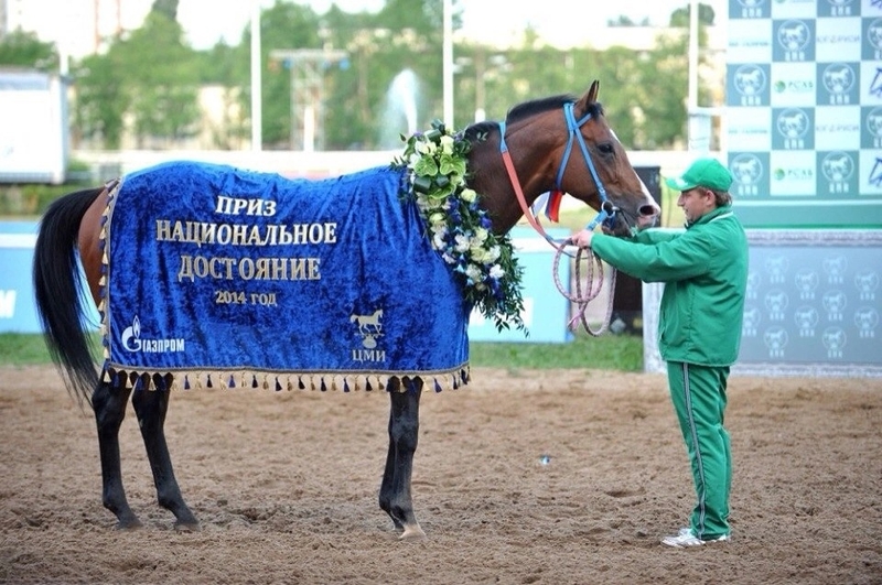 Конные даты