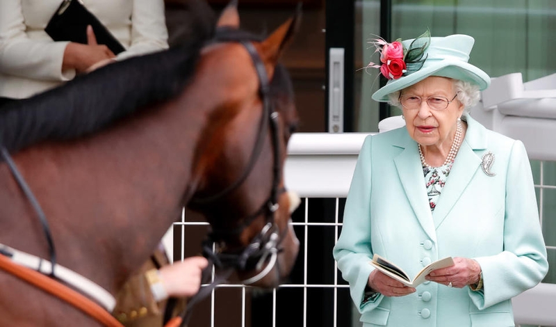 Чарльз III продает любимых скаковых лошадей королевы Елизаветы II 