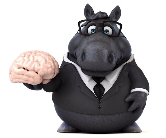 Опыты над мозгом