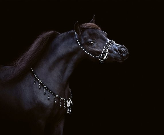 Ми-ми-мини мир