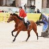 Командный и личный этапы Maxima Masters, CSI-1*/J/Ch, Maxima Stables