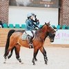 Учебно-тренировочные сборы по конкуру с Владимиром Белецким, Maxima Stables