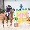 Кубок Федерации по конкуру - в Maxima Stables!