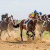 На Краснодарском ипподроме прошел скаковой день 