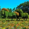 Садовые лошади