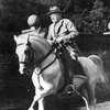 Лошади Черчилля