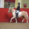 Всероссийские соревнования по выездке на пони в КСЦ «Измайлово» 
