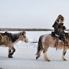 Якутские лошади – дети Джесегея // ЗМ №1(125)2013