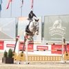 мистер икс лошадь биография. Смотреть фото мистер икс лошадь биография. Смотреть картинку мистер икс лошадь биография. Картинка про мистер икс лошадь биография. Фото мистер икс лошадь биография