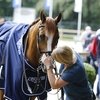 Новое руководство FEI по использованию амуниции и средств управления лошадью 