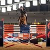 Майкель ван дер Влейтен выиграл Six Bar в Мадриде с высотой 192 см 