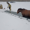 В Челябинской области лошади провались под лед.