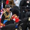 Принцесса Анна выписана из больницы