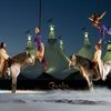 Компания Cavalia объявила о банкротстве