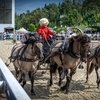 Вятский дебют в чемпионате «Крылатое сердце России» Вятский дебют в чемпионате «Крылатое сердце России»