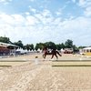 Чемпионат «на вырост» Чемпионат «на вырост»